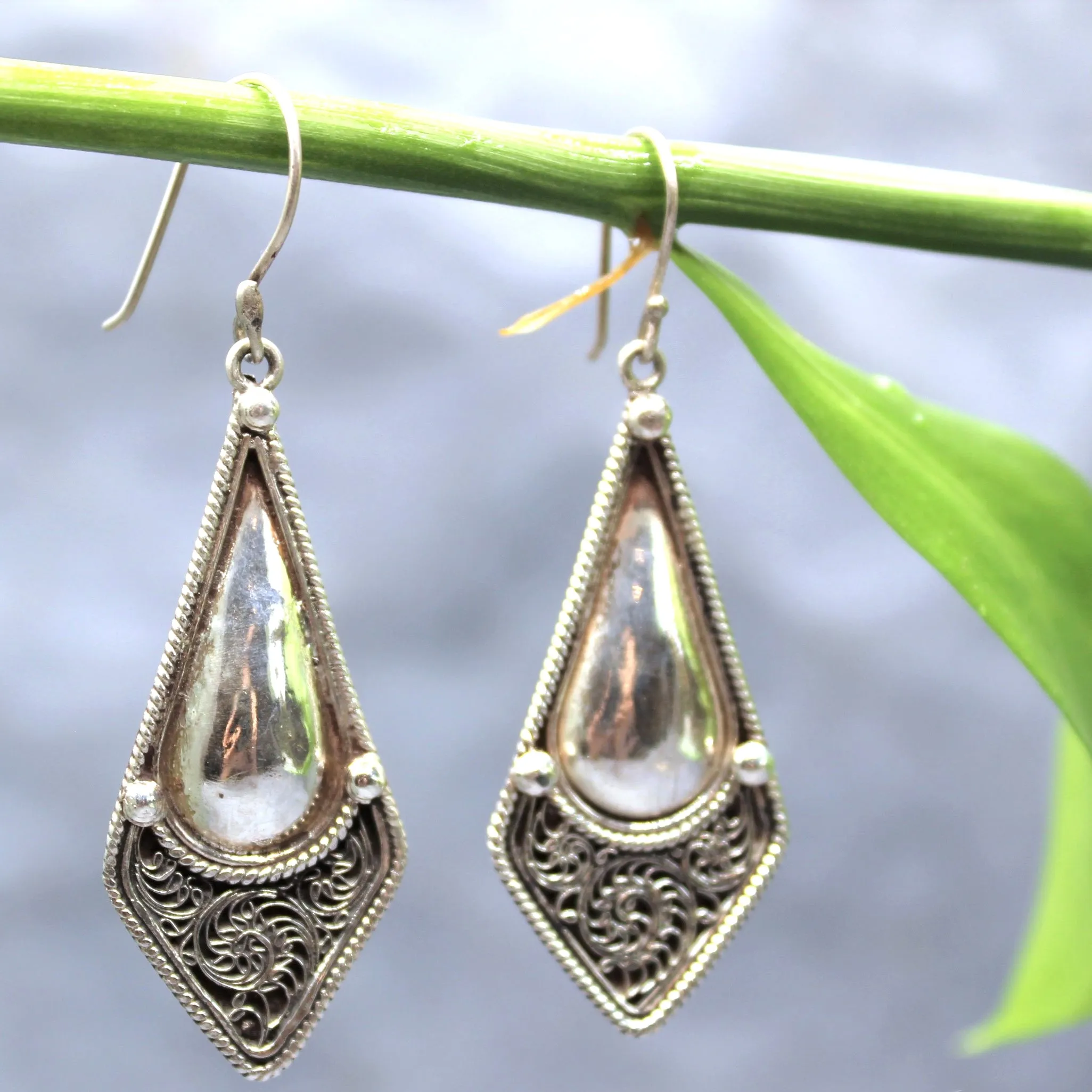 Stunning Silver Earrings